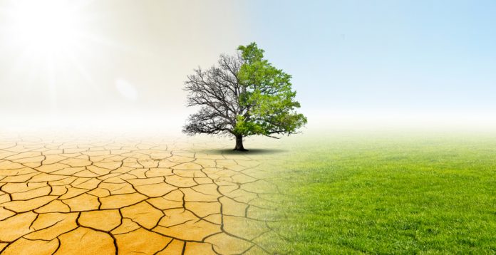 Progetti ambientali: siglata partnership tra Ordine Nazionale dei Biologi e FAO