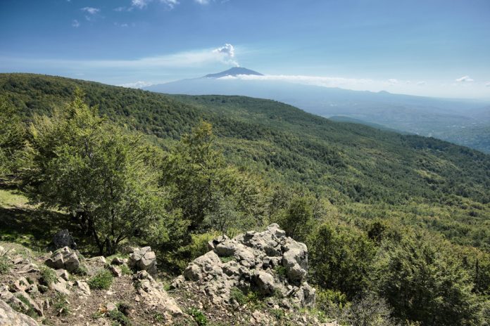 Parco dei Nebrodi: designati i vincitori del Premio internazionale Giuliano Sauli. Tra loro il biologo Riccardo Santolini
